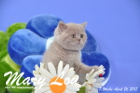 Mary Lou ist 7 Wochen alt geworden (26.04.2015)