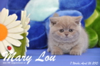 Mary Lou ist 7 Wochen alt geworden (26.04.2015)