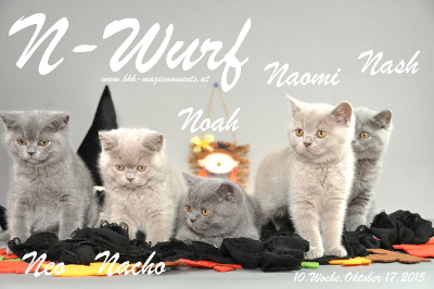 Naomi ist 10 Wochen alt geworden ( 17.10.2015 )