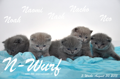 Nash ist 3 Wochen alt geworden ( 30.08.2015 )
