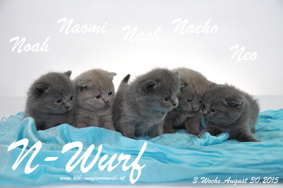 Naomi ist 3 Wochen alt geworden ( 30.08.2015 )