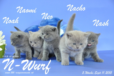 Neo ist 5 Wochen alt geworden ( 11.09.2015 )
