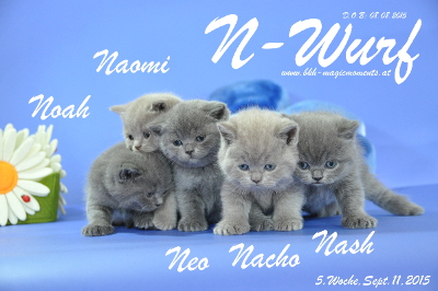 Naomi ist 5 Wochen alt geworden ( 11.09.2015 )
