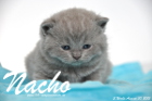 Nacho ist 3 Wochen alt geworden (30.08.2015)