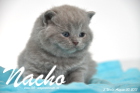 Nacho ist 3 Wochen alt geworden (30.08.2015)