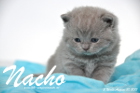 Nacho ist 3 Wochen alt geworden (30.08.2015)