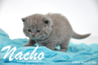 Nacho ist 3 Wochen alt geworden (30.08.2015)