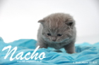 Nacho ist 3 Wochen alt geworden (30.08.2015)
