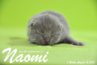Naomi ist 1 Woche alt geworden (16.08.2015)