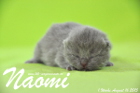 Naomi ist 1 Woche alt geworden (16.08.2015)