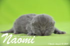 Naomi ist 1 Woche alt geworden (16.08.2015)
