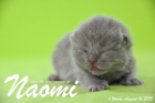 Naomi ist 1 Woche alt geworden (16.08.2015)