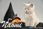 Naomi ist 10 Wochen alt geworden (17.10.2015)