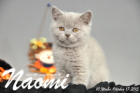 Naomi ist 10 Wochen alt geworden (17.10.2015)