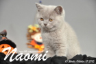 Naomi ist 10 Wochen alt geworden (17.10.2015)