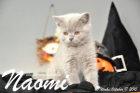 Naomi ist 10 Wochen alt geworden (17.10.2015)