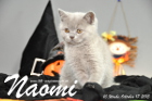 Naomi ist 10 Wochen alt geworden (17.10.2015)