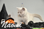 Naomi ist 10 Wochen alt geworden (17.10.2015)
