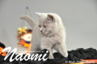 Naomi ist 10 Wochen alt geworden (17.10.2015)