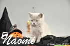 Naomi ist 10 Wochen alt geworden (17.10.2015)