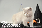 Naomi ist 10 Wochen alt geworden (17.10.2015)