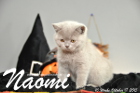 Naomi ist 10 Wochen alt geworden (17.10.2015)