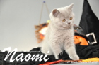 Naomi ist 10 Wochen alt geworden (17.10.2015)