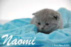 Naomi ist 3 Wochen alt geworden (30.08.2015)