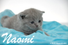 Naomi ist 3 Wochen alt geworden (30.08.2015)