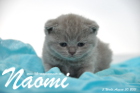 Naomi ist 3 Wochen alt geworden (30.08.2015)