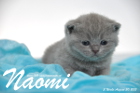 Naomi ist 3 Wochen alt geworden (30.08.2015)