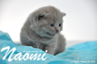 Naomi ist 3 Wochen alt geworden (30.08.2015)