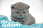 Naomi ist 3 Wochen alt geworden (30.08.2015)