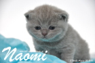 Naomi ist 3 Wochen alt geworden (30.08.2015)