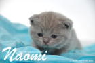 Naomi ist 3 Wochen alt geworden (30.08.2015)