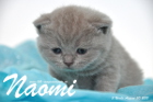 Naomi ist 3 Wochen alt geworden (30.08.2015)