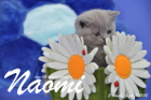 Naomi ist 5 Wochen alt geworden ( 11.09.2015 )