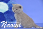 Naomi ist 5 Wochen alt geworden ( 11.09.2015 )