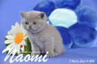 Naomi ist 5 Wochen alt geworden ( 11.09.2015 )