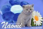 Naomi ist 5 Wochen alt geworden ( 11.09.2015 )