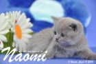 Naomi ist 5 Wochen alt geworden ( 11.09.2015 )