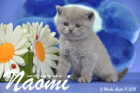 Naomi ist 5 Wochen alt geworden ( 11.09.2015 )