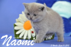Naomi ist 5 Wochen alt geworden ( 11.09.2015 )