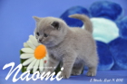 Naomi ist 5 Wochen alt geworden ( 11.09.2015 )