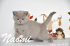 Naomi ist 7 Wochen alt geworden ( 27.09.2015 )
