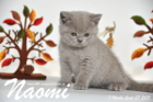 Naomi ist 7 Wochen alt geworden ( 27.09.2015 )