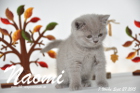 Naomi ist 7 Wochen alt geworden ( 27.09.2015 )