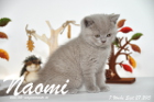 Naomi ist 7 Wochen alt geworden ( 27.09.2015 )