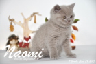 Naomi ist 7 Wochen alt geworden (27.09.2015)