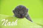 Nash ist 1 Woche alt geworden (16.08.2015)